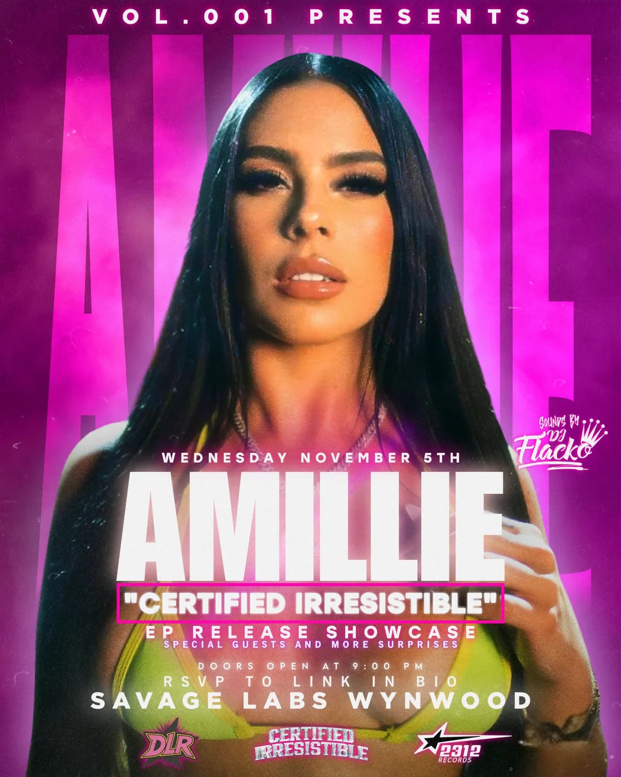 Press Kits (EPKs) sample — Amillie — Certified Irresistible for Amillie · e312 Records