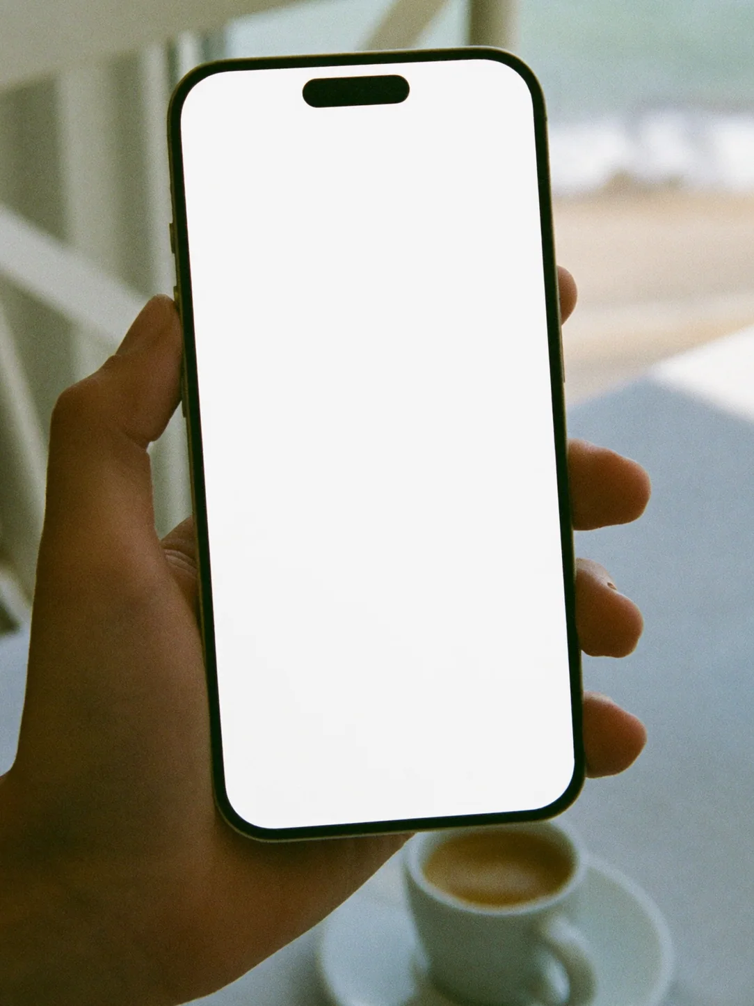 A hand holding a phone with the Casa Marea website open on it